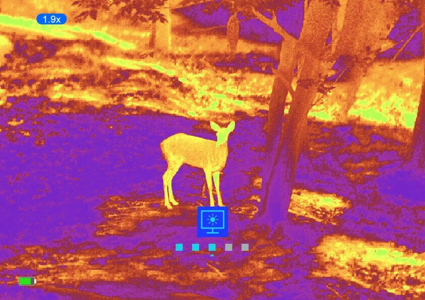 Thermalbildaufnahme mit dem Owlset MXC30 zeigt ein Reh im Wald bei 1,9x Zoom – perfekte Wärmebildlösung für Jäger und Naturbeobachter.