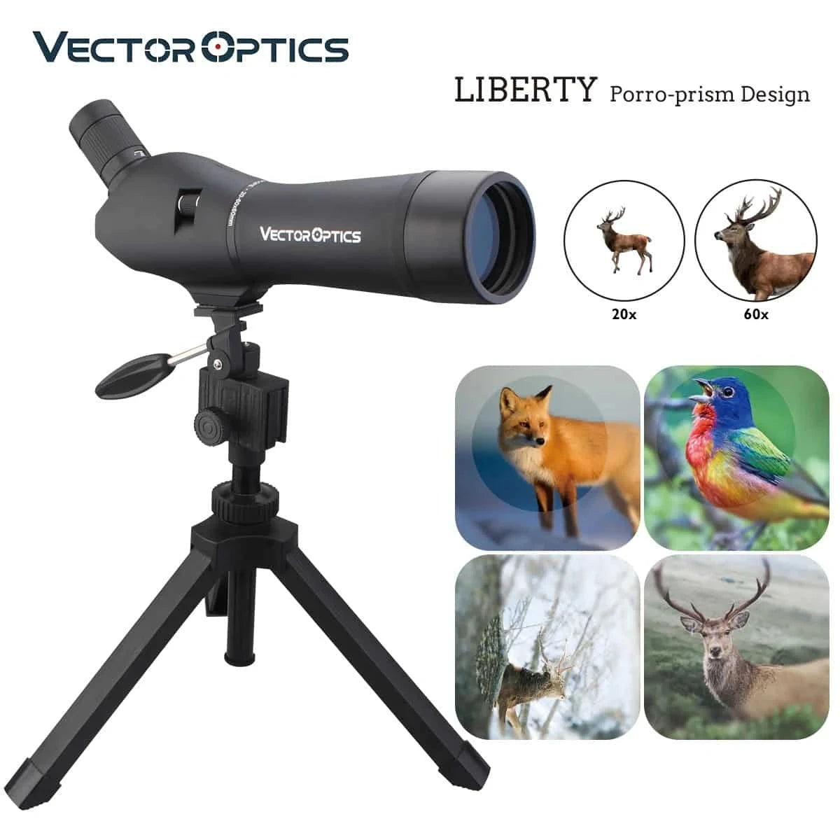 Forester 20-60x60 Spotting Scope - Vector Optics Fernglas mit Porro-Prisma, ideal für Tierbeobachtung mit 20x bis 60x Vergrößerung.