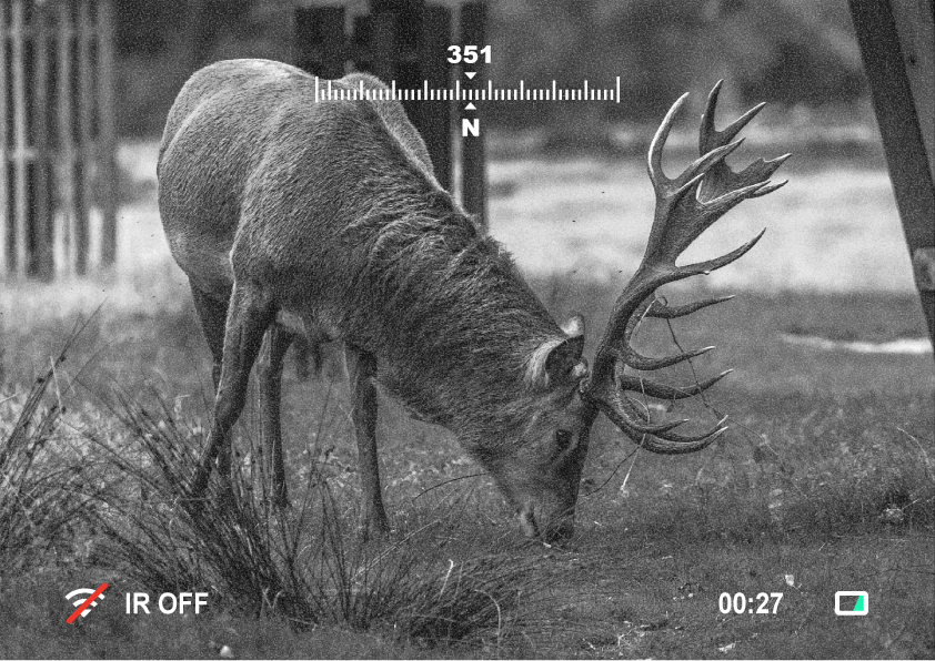 Nachtsichtaufnahme mit Owlset 1x18 zeigt Hirsch bei Dunkelheit, gestochen scharf dank HD-Sensor und IR-Funktion.