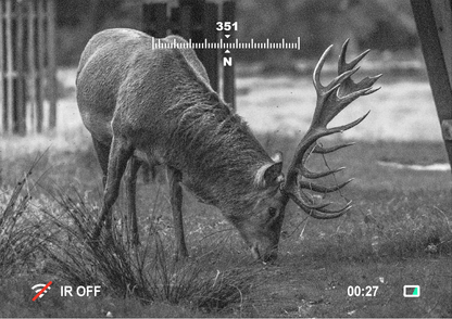 Nachtsichtaufnahme mit Owlset 1x18 zeigt Hirsch bei Dunkelheit, gestochen scharf dank HD-Sensor und IR-Funktion.